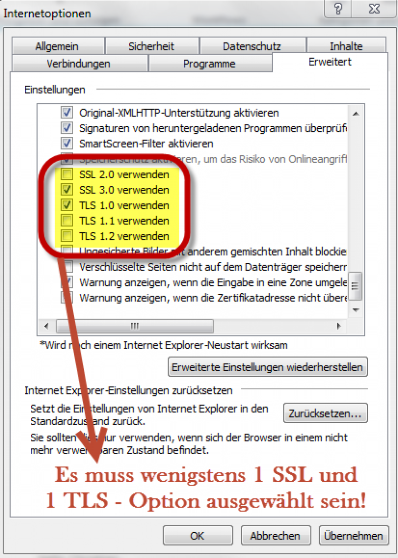 IE-SSL-TLS-Optionen.png