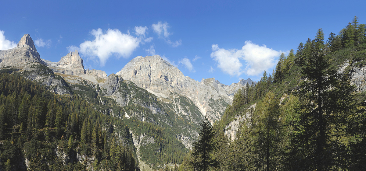 big_img_2.jpg