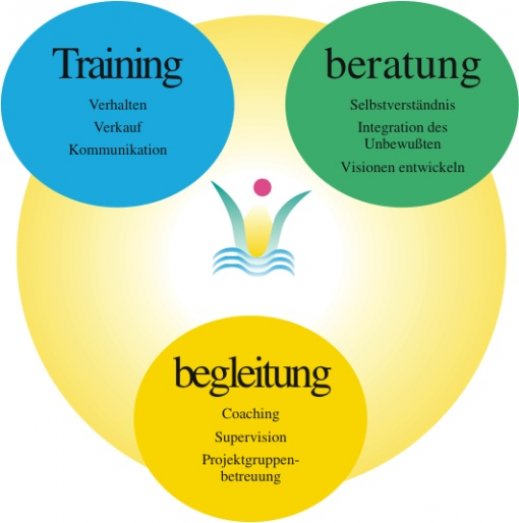 Consulting, Training and Supervision