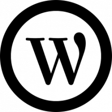 Wordpress Webdesign Wetzikon