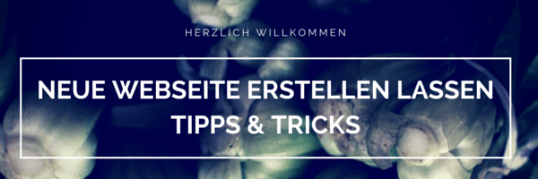neue Webseite erstellen lassen