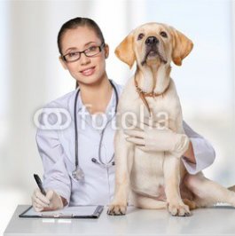 Veterinarian..jpg