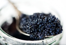 Black_caviar.jpg