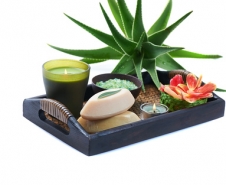 aloe_spa.jpg