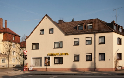 amsel_aussen.jpg