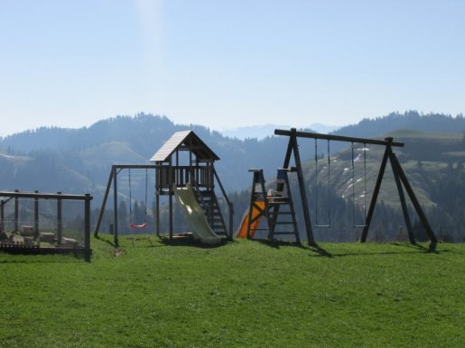 3084.jpg