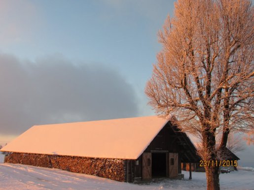 F091.jpg