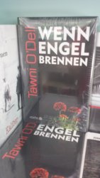 buchbeutel.de_buchtipp_20190811_o-dell_wenn-engel-brennen.jpg