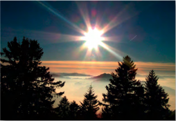HerbstComingHomeRetreat_-_Joy_Barbezat.png