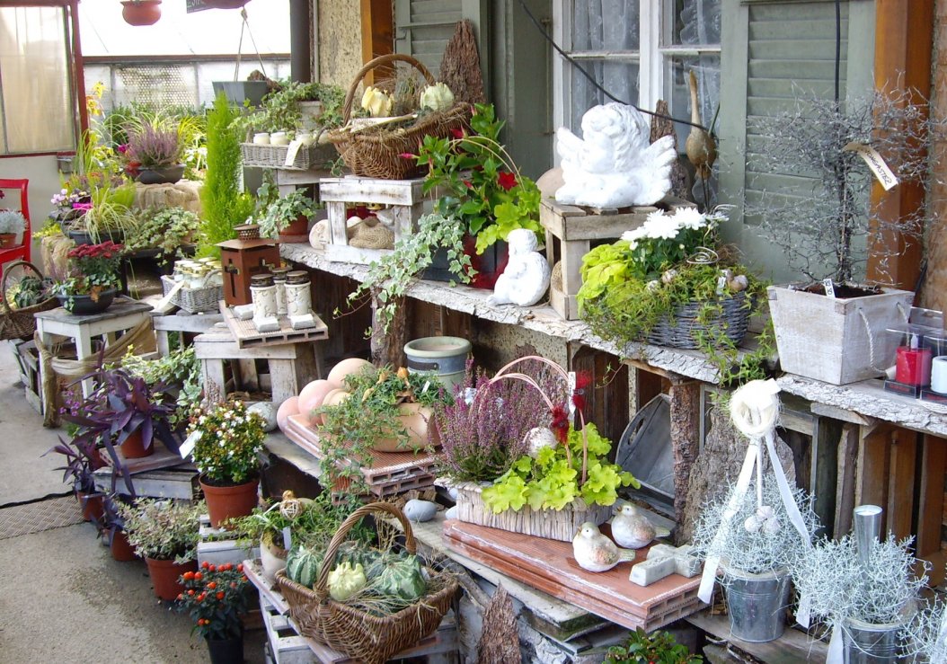 Blumen_2012-2013_006_Kopie.jpg