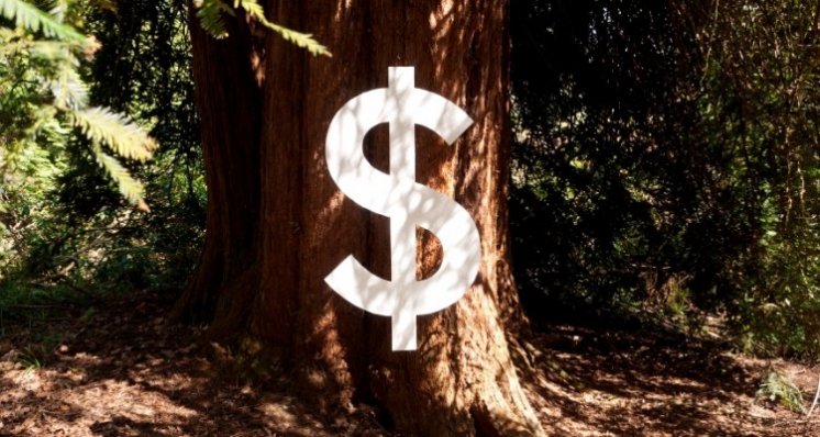 Baum-mit-Dollarzeichen750x400.jpg