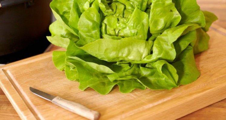 Blattsalat-750x400.jpg