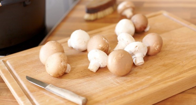 Champignons-750x400.jpg