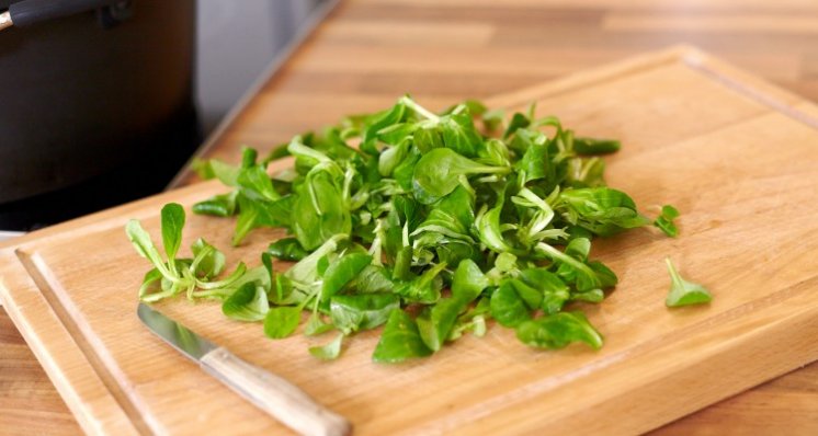 Feldsalat-750x400_2.jpg