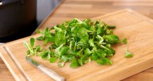 Feldsalat-750x400.jpg