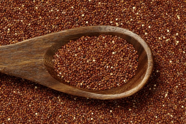 Roter-Quinoa-1024x682.jpg