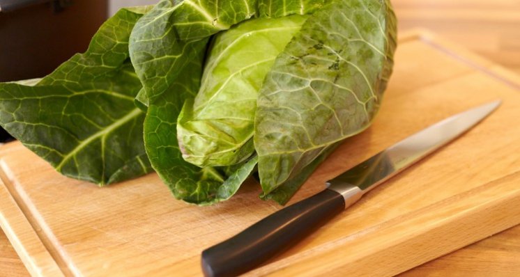 Spitzkohl-750x400_2.jpg