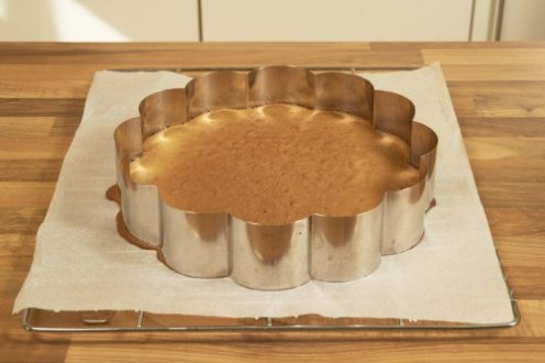 biskuitboden-gebacken-500x333.jpg