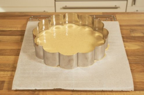 biskuitteig-in-form-500x333.jpg