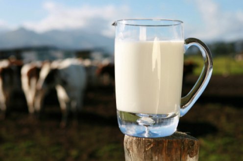 milch-kanne.jpg