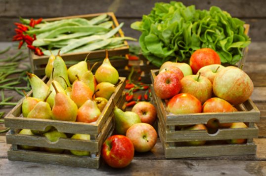 obst-und-gemuese.jpg