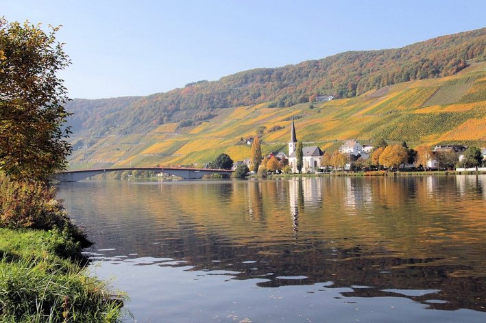 Moselle River Cruise with E-Bike Tours Moselle River Cruise with E-Bike Tours