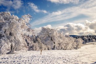 iStock-914602082.jpg