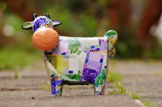 cow-1357210_1920.jpg