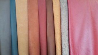 Leder-3.jpg