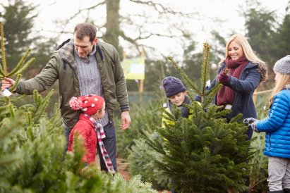 christbaum_selber_schlagen_Bild_02_christbaumstadel_josef_kranzle.jpg