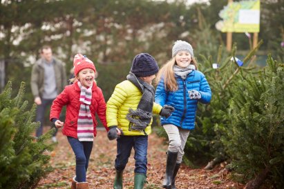 christbaum_selber_schlagen_Bild_03_christbaumstadel_josef_kranzle.jpg