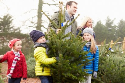 christbaum_selber_schlagen_Bild_04_christbaumstadel_josef_kranzle.jpg