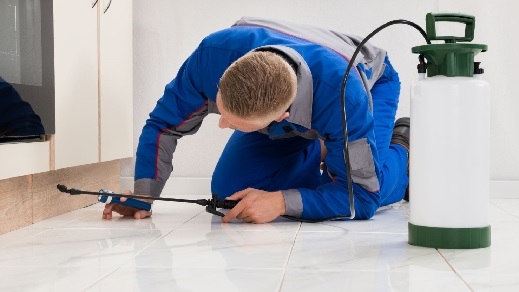 schaedlingsfeinde_muenchen_schutz_praevention_arbeit_2.jpg
