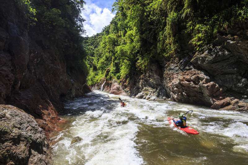 Gnaria Ecuador