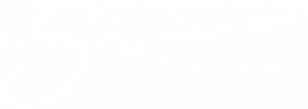 logo-weiss.png