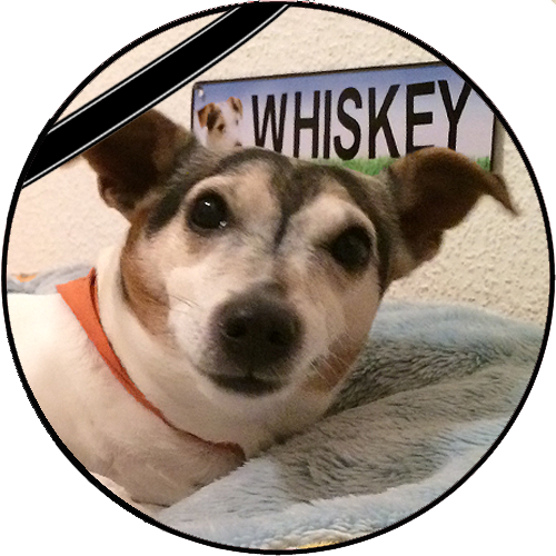 Alt-Grossmeister Franz Suter Whiskey-trauer.png