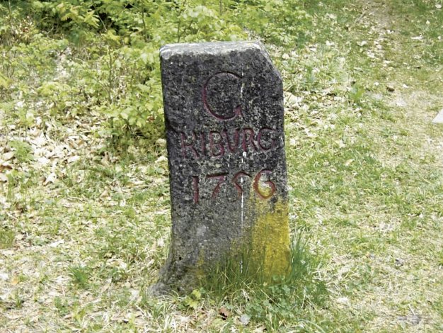 Tafel9_Kyburgerstein.jpg