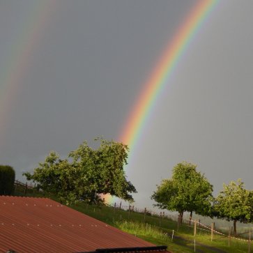 regenbogen-fuer-sildeshow_2.jpg