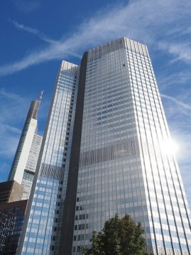 Die Schimmelbeseitigung Frankfurt entfernt auch Ihren Schimmel!