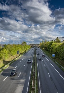 Die Schimmelbeseitigung Hannover entfernt auch Ihren Schimmel!