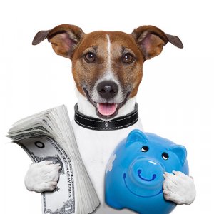 Brass money dog
