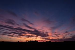 DSCF0619.jpg