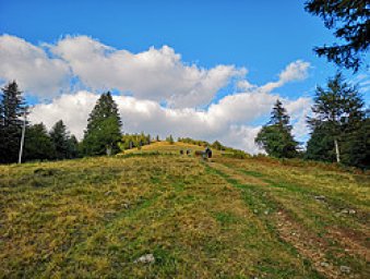 a27d24_085fb34b9c08490f9c146d69a4c06070mv2_d_1600_1200_s_2.jpeg