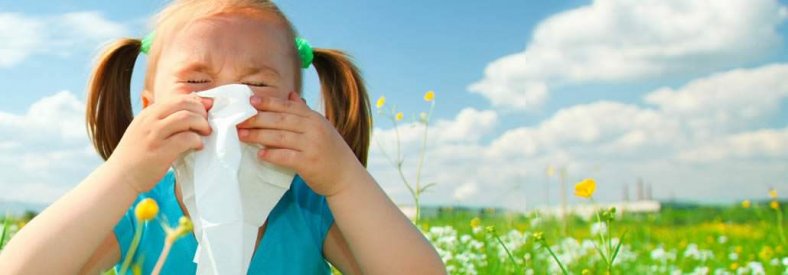 allergie-1030x360.jpg