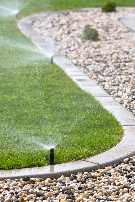 Ripple landscaping 34+ years