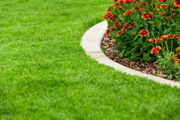 Rippletree lawncare
