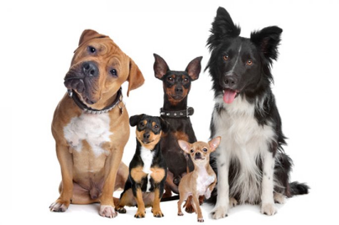 Fotolia_38691873_XS.jpg