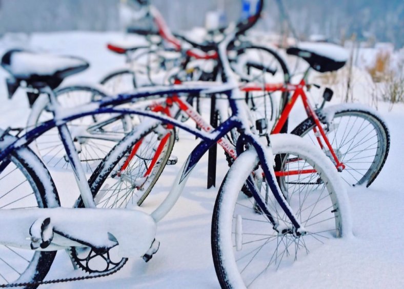 winterBikes.jpg