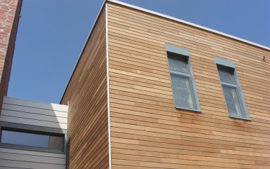 Western Red Cedar Trendagenturm1