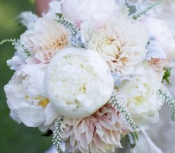 Dahlia005.jpg